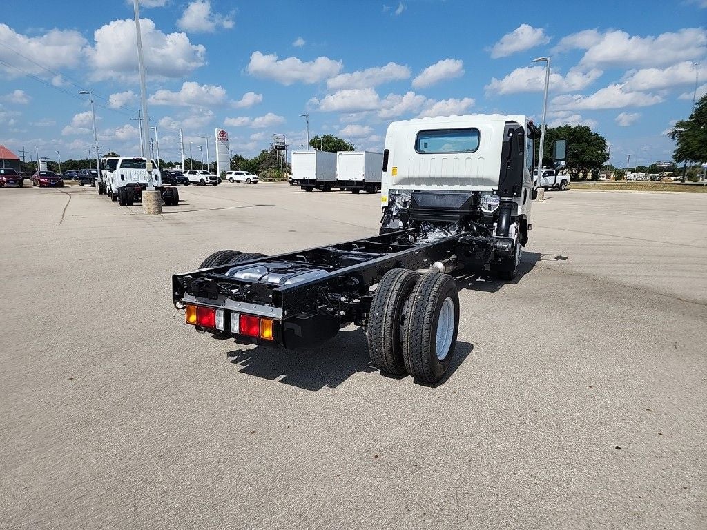 2025 Chevrolet Low Cab Forward 3500 HG 1WT