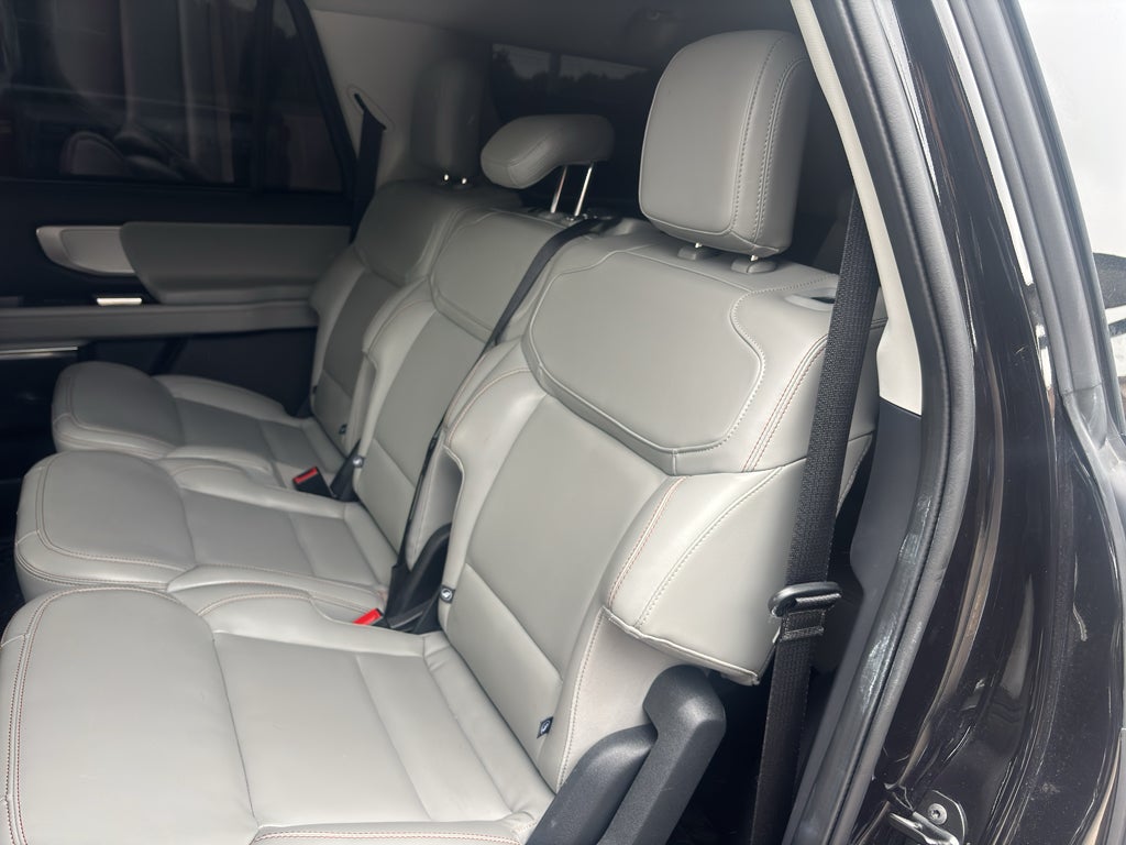 2025 Ford Expedition Active MAX