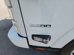 2025 Chevrolet Low Cab Forward 3500 HG 1WT